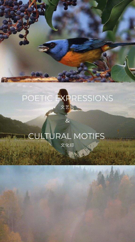 艺术涂料『文化系列』｜让每一面墙讲述历史与文化的故事