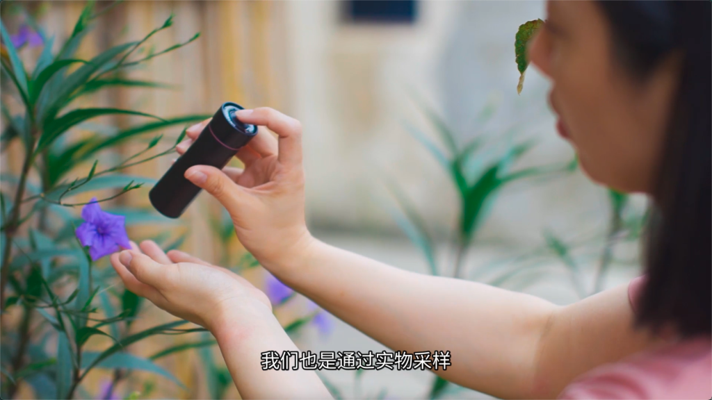 视频:爱涂妆-色彩乡村