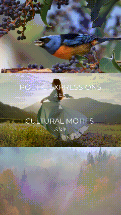 艺术涂料『文化系列』｜让每一面墙讲述历史与文化的故事