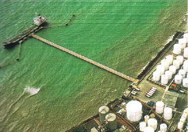 65年,只为让“家”更有温度