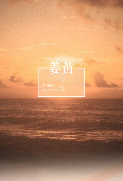 姜黄|一个没有边界感的颜色