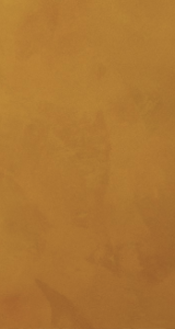 可触摸的佛罗伦萨,从品位到设计权威
艺术涂料质感图