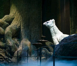 此图片的 alt 属性为空；文件名为 image-129.png