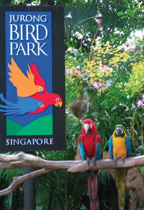 爱涂妆案例｜主题公园 - 新加坡 动物园与飞禽公园