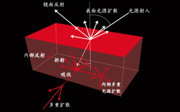 妆点美学｜读懂色彩的10位“身份证”
美色密码