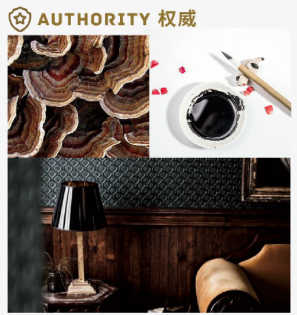 妆点美学｜破译色彩背后的“情感密码”