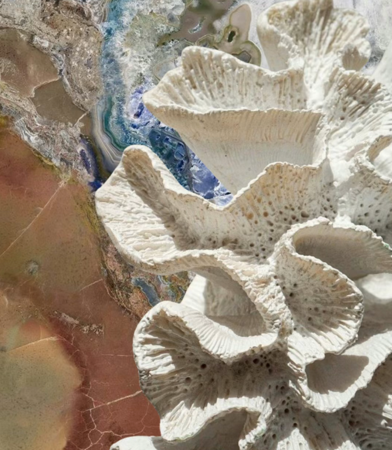 艺术涂料『自然地理』| 地质时间写在墙上的诗